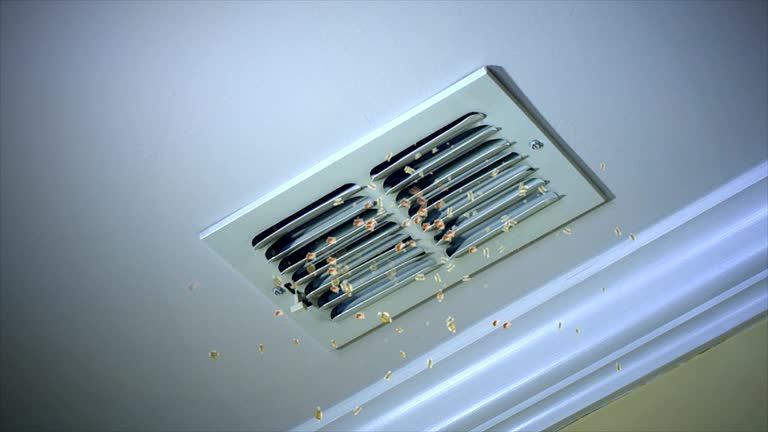 Best Emergency Air Duct Cleaning  in Margate, FL